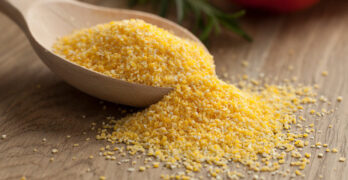 Cornmeal Substitute