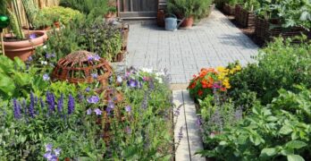 How to Make the Most of Your Garden and Land