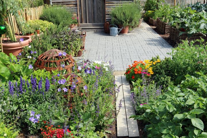 How to Make the Most of Your Garden and Land