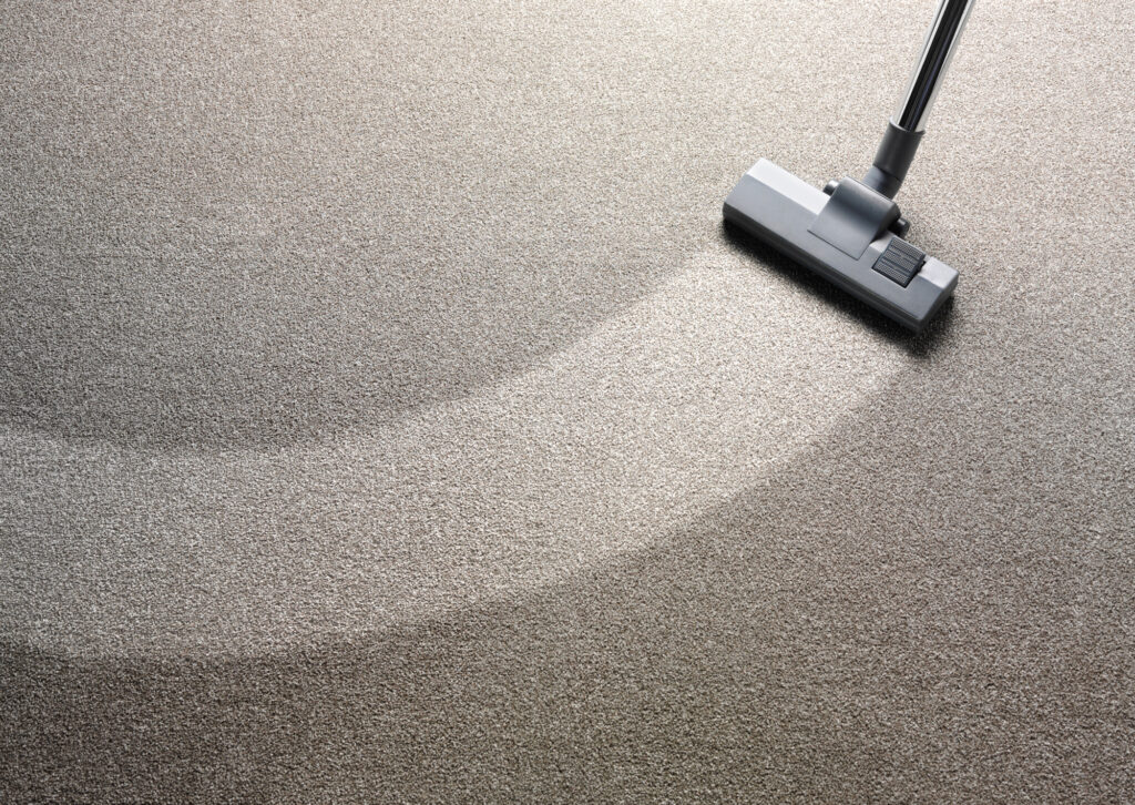 Steam Cleaner vs. Carpet Cleaner What Are the Differences? Best