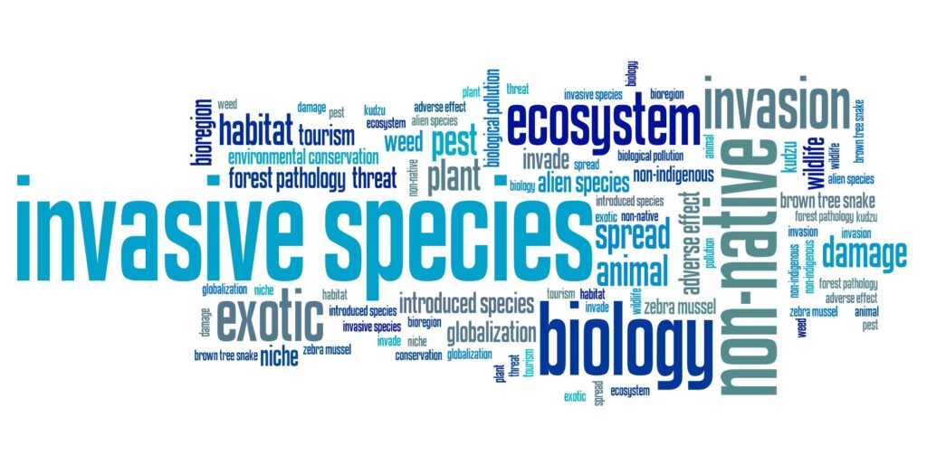 How Outdoor Recreation Reduces The Spread Of Invasive Species