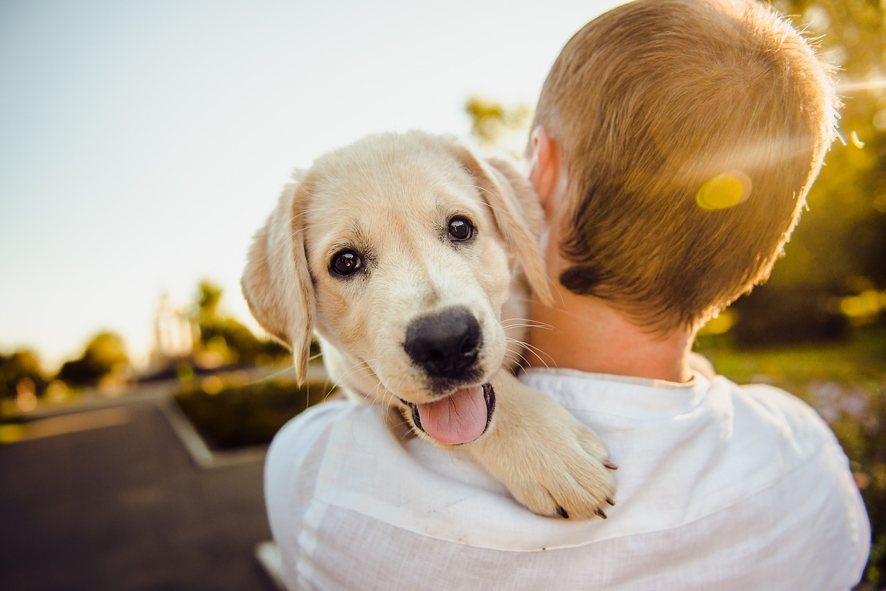 8 Tips for Keeping Your Dog Healthy