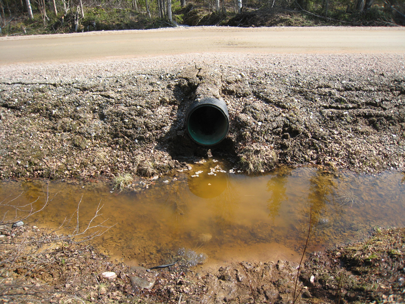 Unveiling the Mysteries Below: The Hidden Causes of Drainage Issues