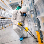 The Role of Professional Pest Control in Maintaining a Safe Commercial Environment