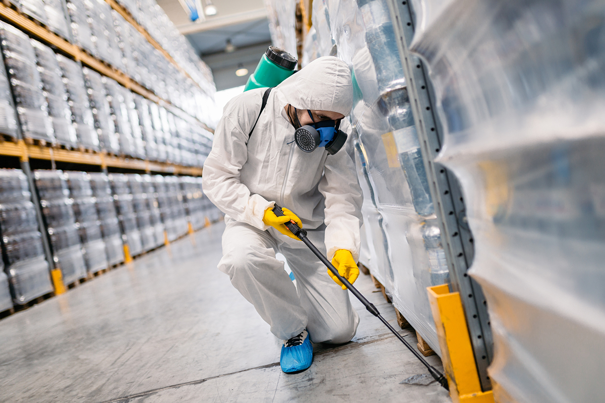 The Role of Professional Pest Control in Maintaining a Safe Commercial Environment