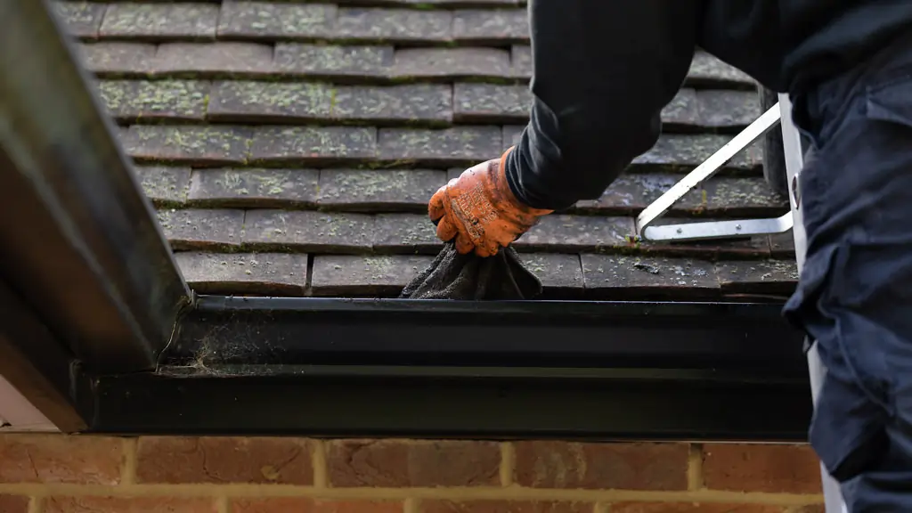 Leading Gutter Maintenance Services in Northampton