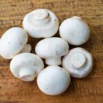 Mushroom farm equipment – how modern tools improve cultivation outcomes