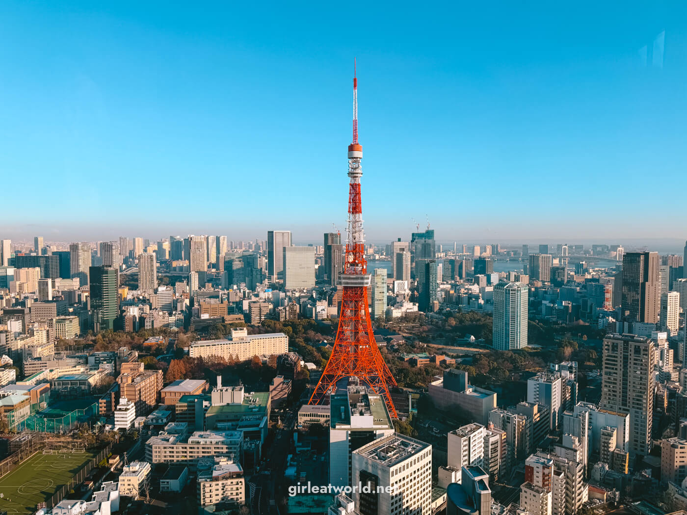 Essential Travel Guide for Your Flight to Tokyo